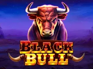 Black Bull game cover