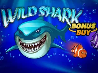 Wild Shark Bonus Buy game cover