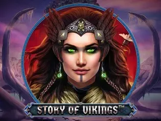 Story Of Vikings game cover