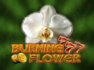 Burning Flower game cover
